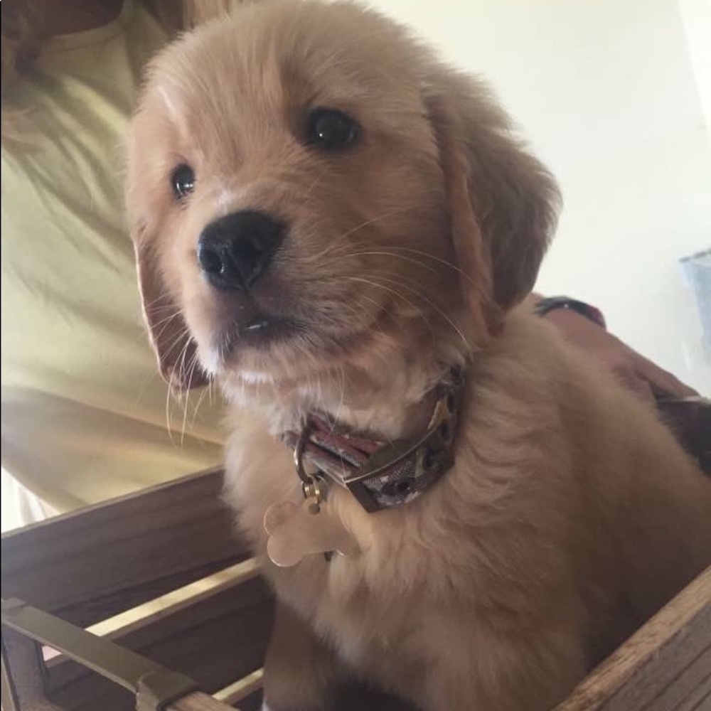 Meet your Posher, Michaela